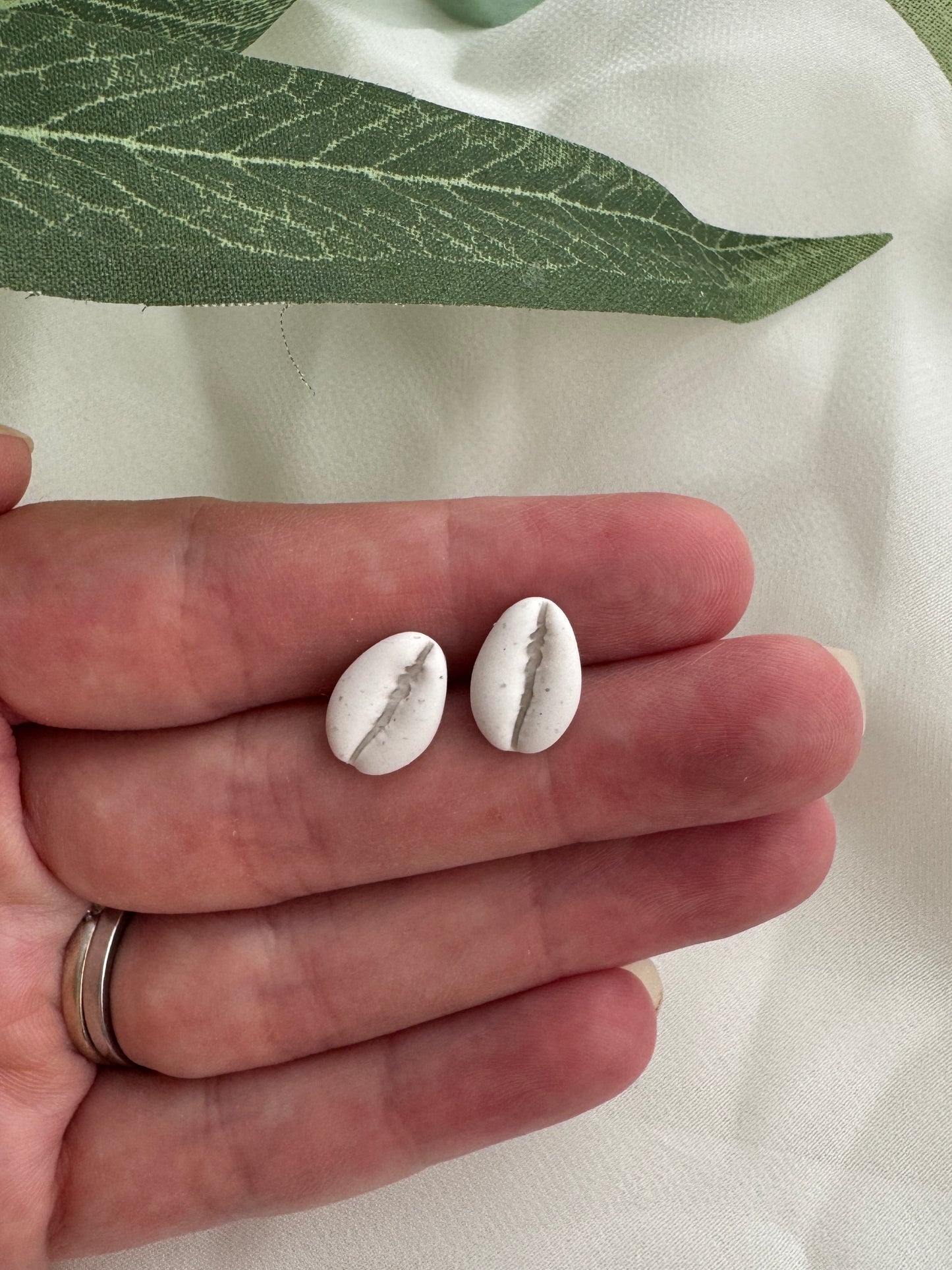 Cowrie Studs