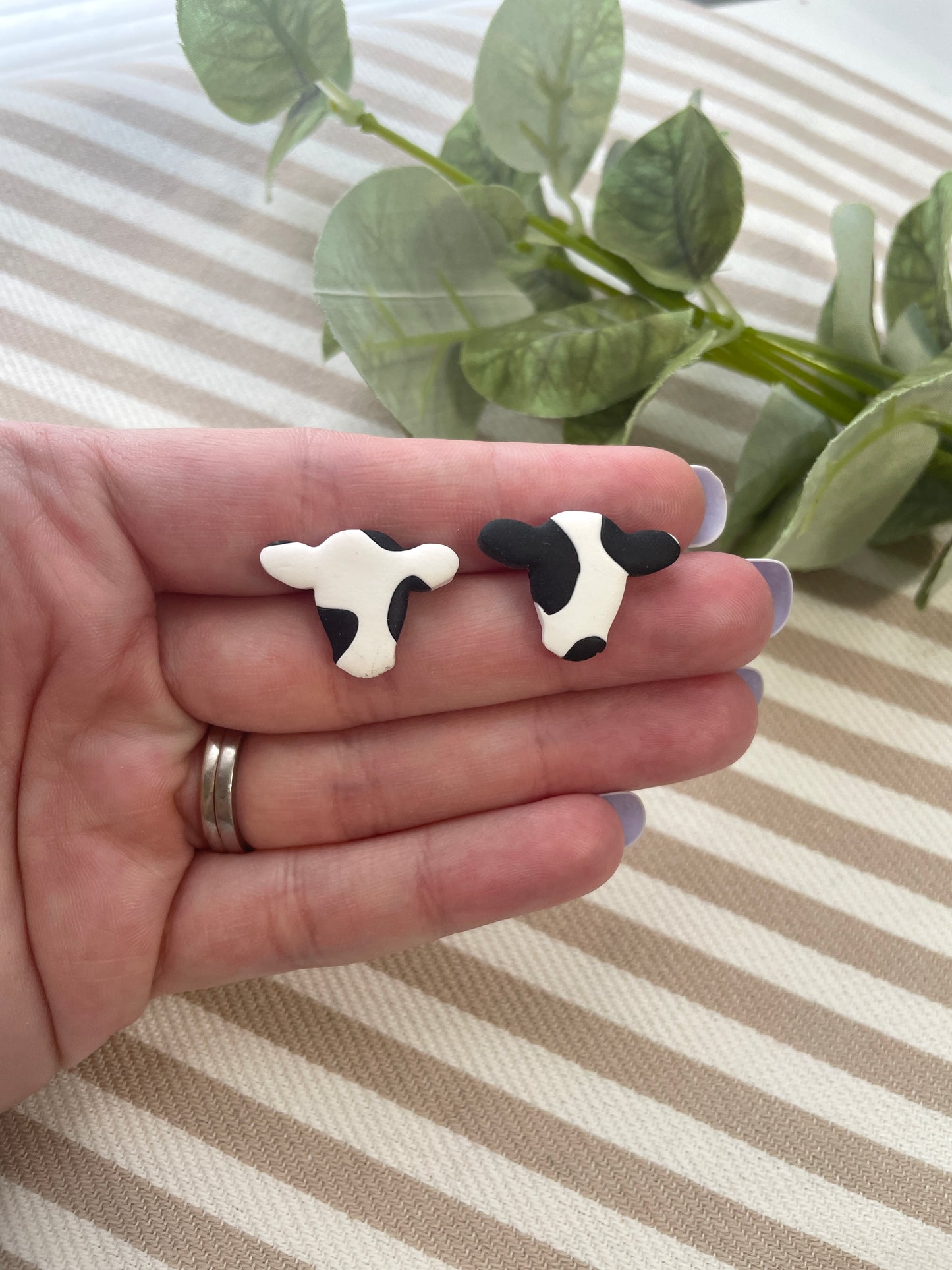 Cow Studs