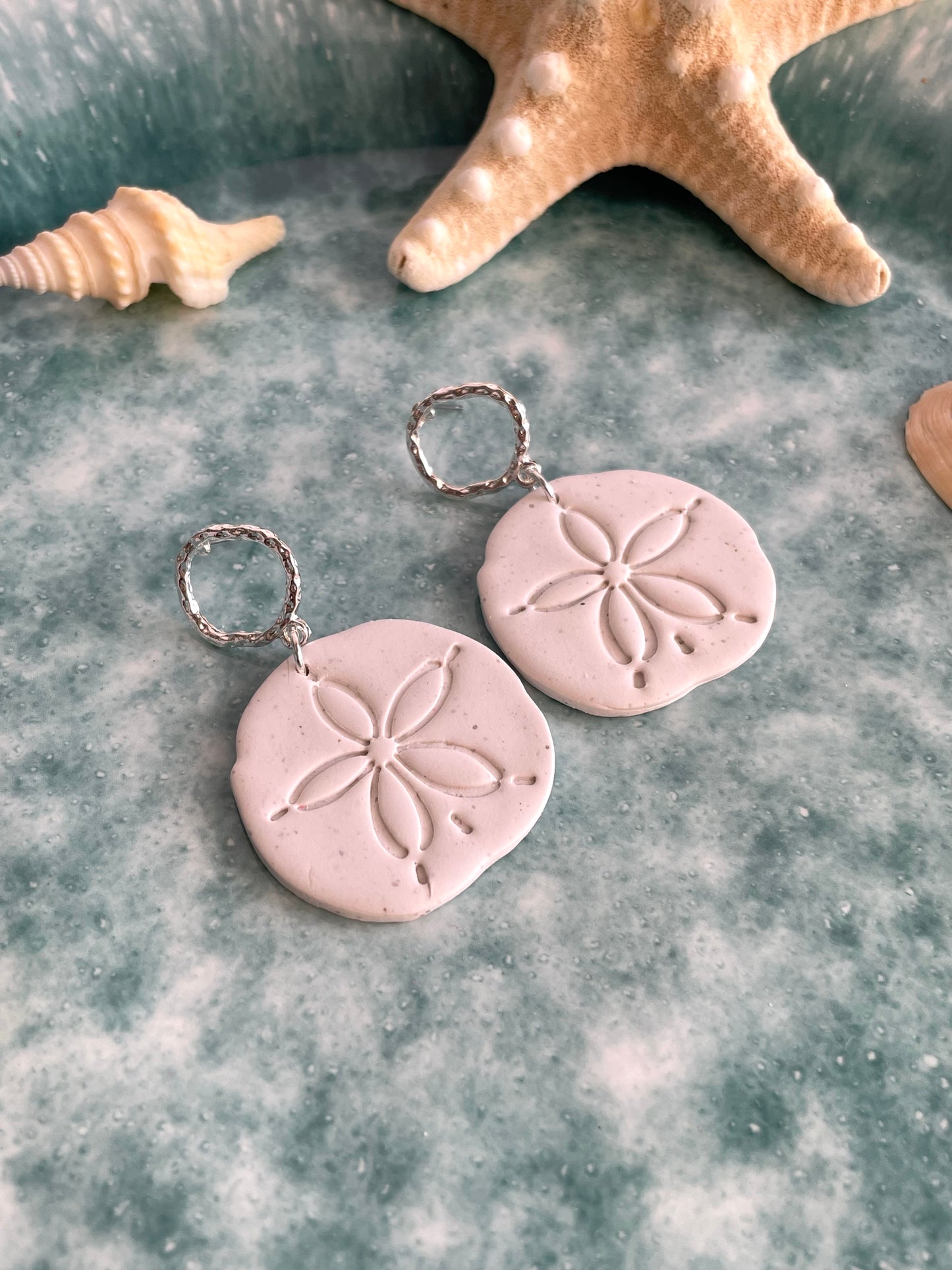 Sand Dollars - Wholesale