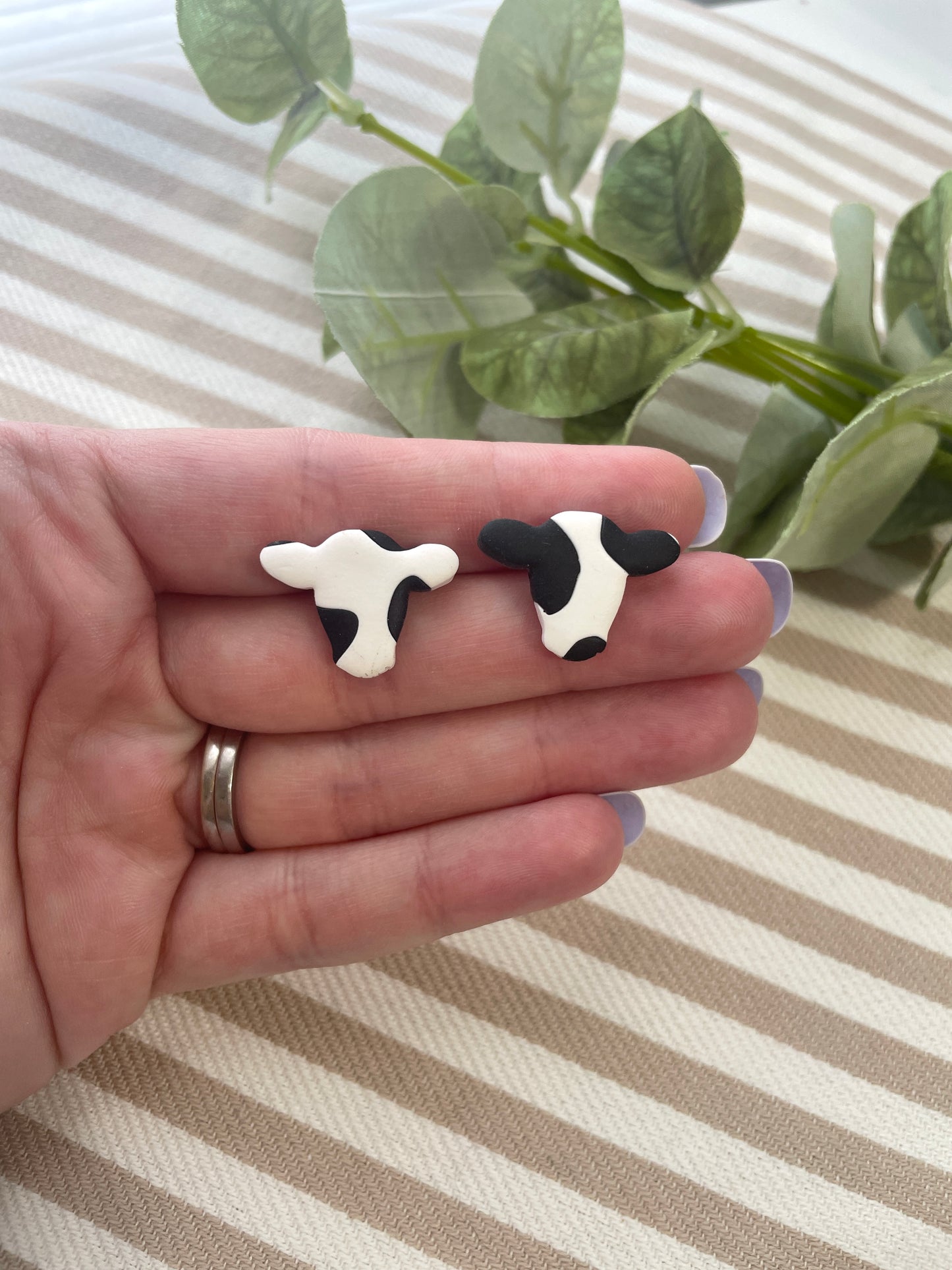 Cow Studs - Wholesale